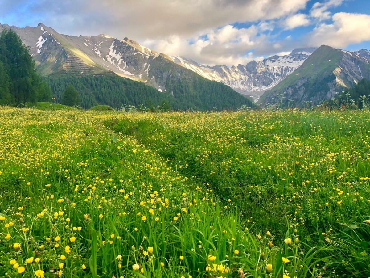 Hotel Relais & Chateaux Chasa Montana 5*